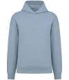 NS408 Unisex Oversized Hoodie Aquamarine colour image